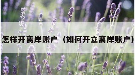 怎样开离岸账户（如何开立离岸账户）