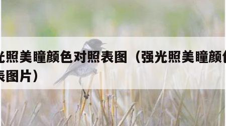 强光照美瞳颜色对照表图（强光照美瞳颜色对照表图片）