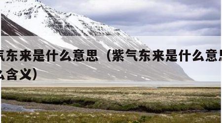 紫气东来是什么意思（紫气东来是什么意思有什么含义）