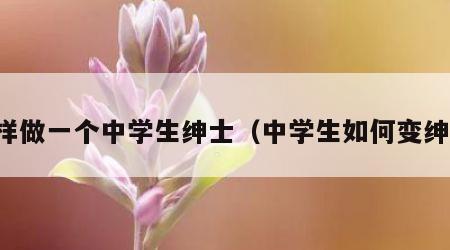 怎样做一个中学生绅士（中学生如何变绅士）