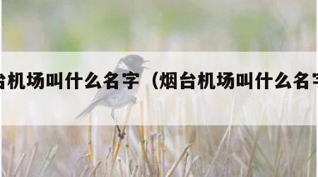 烟台机场叫什么名字（烟台机场叫什么名字来着）