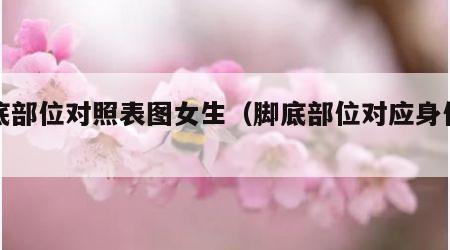 脚底部位对照表图女生（脚底部位对应身体图）