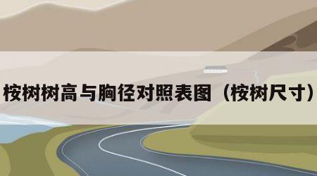 桉树树高与胸径对照表图（桉树尺寸）
