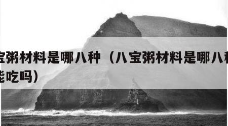 八宝粥材料是哪八种（八宝粥材料是哪八种孕妇能吃吗）