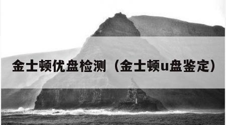 金士顿优盘检测（金士顿u盘鉴定）