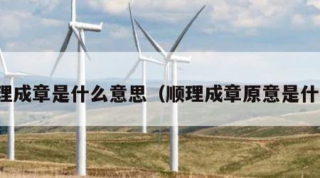 顺理成章是什么意思（顺理成章原意是什么）