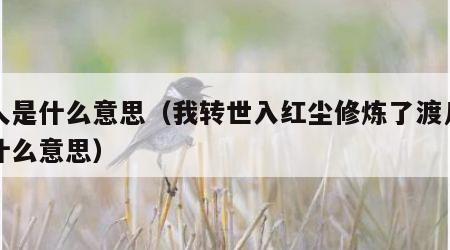 凡人是什么意思（我转世入红尘修炼了渡凡人是什么意思）
