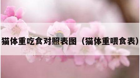 猫体重吃食对照表图（猫体重喂食表）