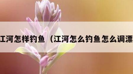 江河怎样钓鱼（江河怎么钓鱼怎么调漂）