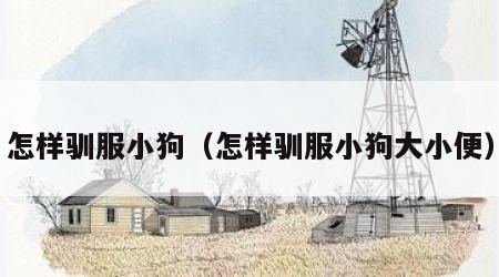 怎样驯服小狗（怎样驯服小狗大小便）