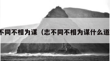 志不同不相为谋（志不同不相为谋什么道理）