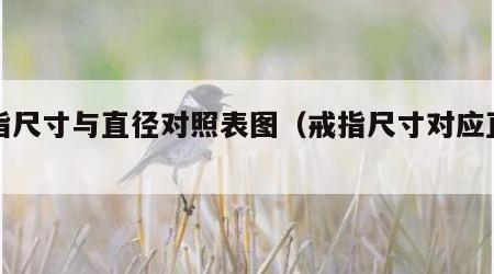 戒指尺寸与直径对照表图（戒指尺寸对应直径）