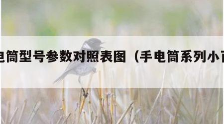 手电筒型号参数对照表图（手电筒系列小百科）