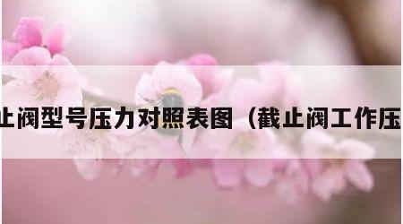 截止阀型号压力对照表图（截止阀工作压力）