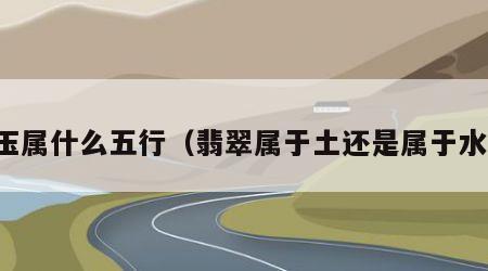 玉属什么五行（翡翠属于土还是属于水）