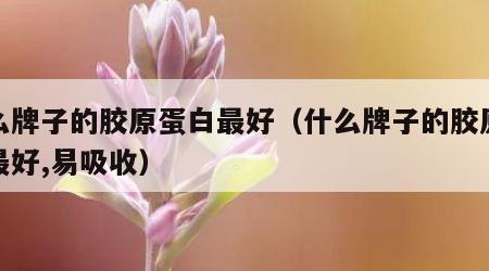 什么牌子的胶原蛋白最好（什么牌子的胶原蛋白最好,易吸收）