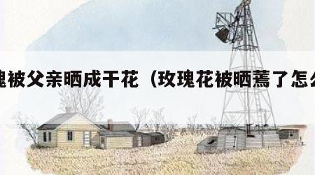 玫瑰被父亲晒成干花（玫瑰花被晒蔫了怎么办）