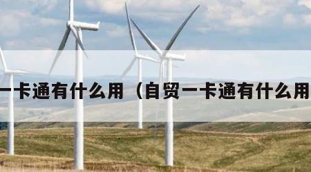 一卡通有什么用（自贸一卡通有什么用）
