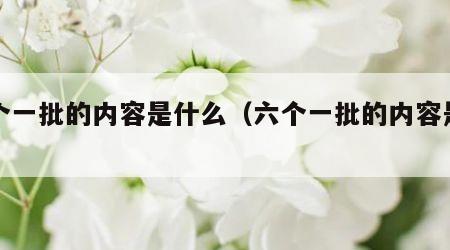 六个一批的内容是什么（六个一批的内容是什么）
