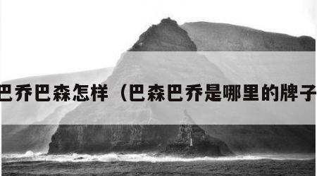 巴乔巴森怎样（巴森巴乔是哪里的牌子）