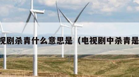 电视剧杀青什么意思是（电视剧中杀青是指）