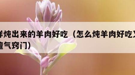 怎样炖出来的羊肉好吃（怎么炖羊肉好吃又烂不膻气窍门）