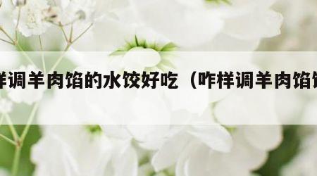 怎样调羊肉馅的水饺好吃（咋样调羊肉馅饺子）