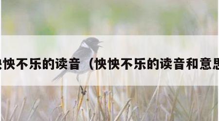 怏怏不乐的读音（怏怏不乐的读音和意思）