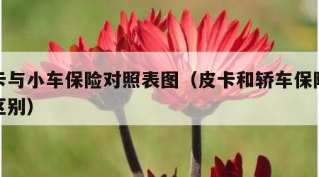 皮卡与小车保险对照表图（皮卡和轿车保险费用区别）