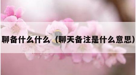 聊备什么什么（聊天备注是什么意思）
