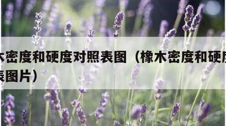 橡木密度和硬度对照表图（橡木密度和硬度对照表图片）