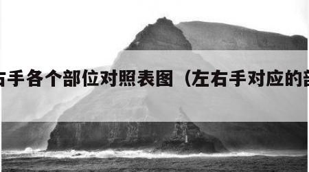 左右手各个部位对照表图（左右手对应的部位）