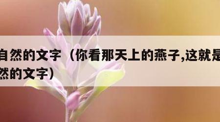 大自然的文字（你看那天上的燕子,这就是大自然的文字）