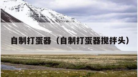 自制打蛋器（自制打蛋器搅拌头）