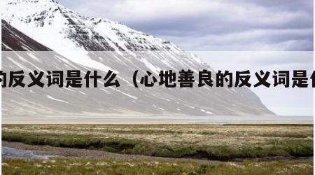 良的反义词是什么（心地善良的反义词是什么）