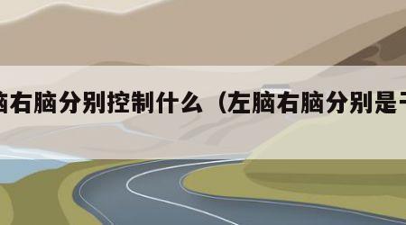 左脑右脑分别控制什么（左脑右脑分别是干嘛的）