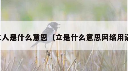 立人是什么意思（立是什么意思网络用语）