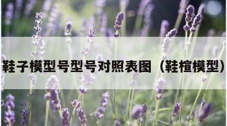 鞋子模型号型号对照表图（鞋楦模型）