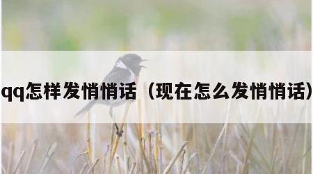 qq怎样发悄悄话（现在怎么发悄悄话）