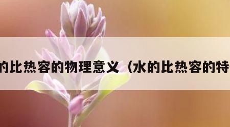 水的比热容的物理意义（水的比热容的特性）