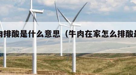 牛肉排酸是什么意思（牛肉在家怎么排酸最快）