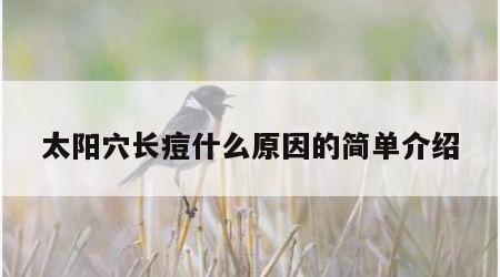 太阳穴长痘什么原因的简单介绍