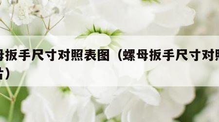 螺母扳手尺寸对照表图（螺母扳手尺寸对照表图片）