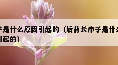 疖子是什么原因引起的（后背长疖子是什么原因引起的）