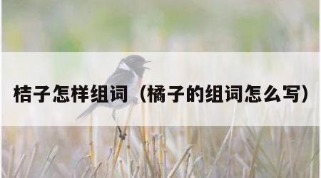 桔子怎样组词（橘子的组词怎么写）