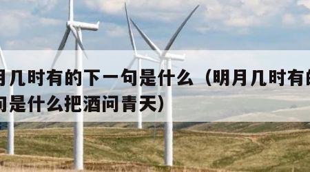 明月几时有的下一句是什么（明月几时有的下一句是什么把酒问青天）