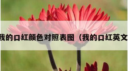 我的口红颜色对照表图（我的口红英文）
