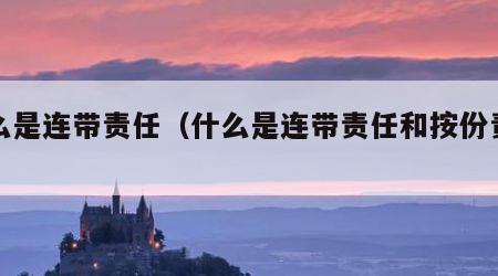 什么是连带责任（什么是连带责任和按份责任）