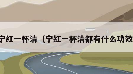 宁红一杯清（宁红一杯清都有什么功效）