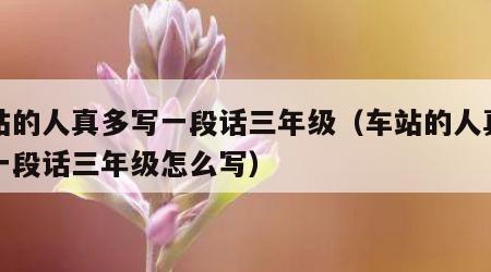 车站的人真多写一段话三年级（车站的人真多写一段话三年级怎么写）